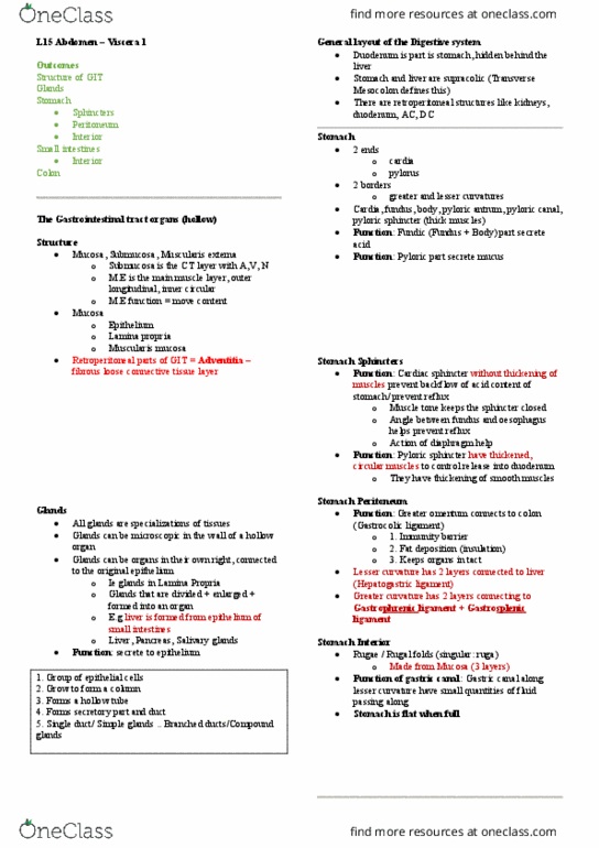 ANHB2212 Lecture Notes - Lecture 15: Abdominal Wall, Adventitia, Greater Omentum thumbnail