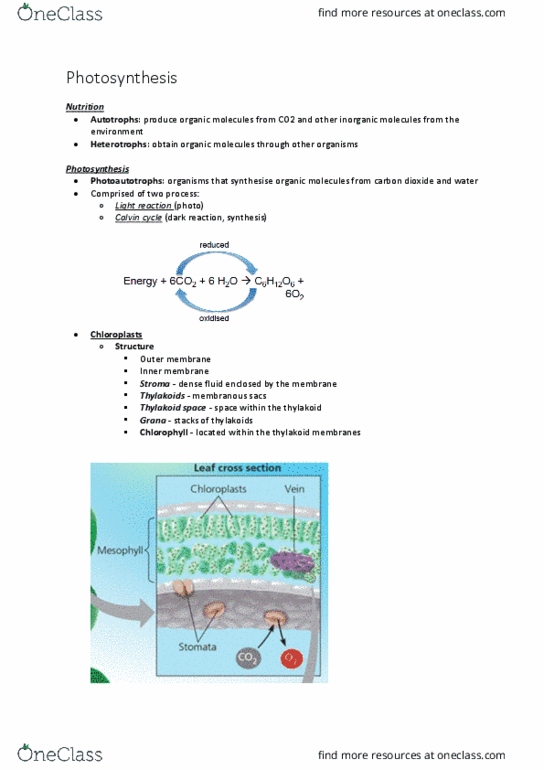 BABS1201 Lecture Notes - Lecture 6: Photosystem I, Cellular Respiration, Carbon Fixation thumbnail