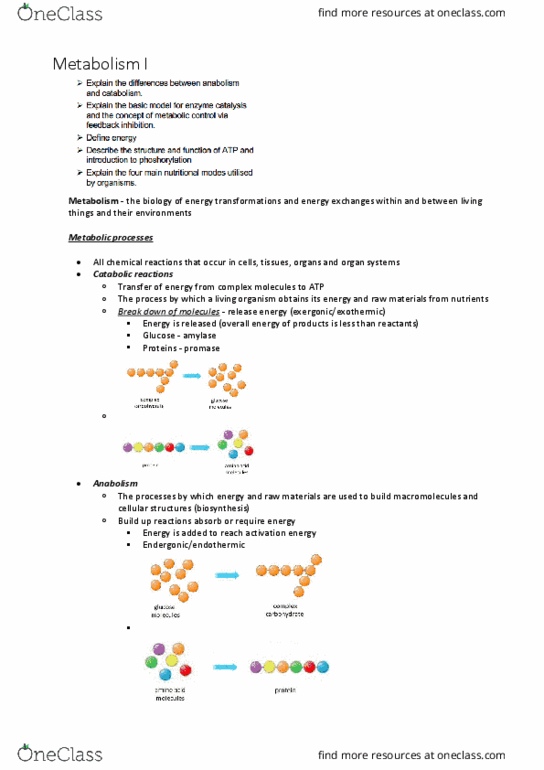 BABS1201 Lecture Notes - Lecture 7: Glycolysis, Heterotroph, Hydrolysis thumbnail