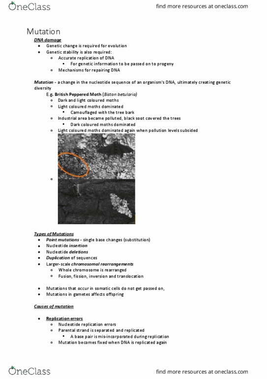 BABS1201 Lecture Notes - Lecture 14: Xeroderma Pigmentosum, Radon, Methylation thumbnail