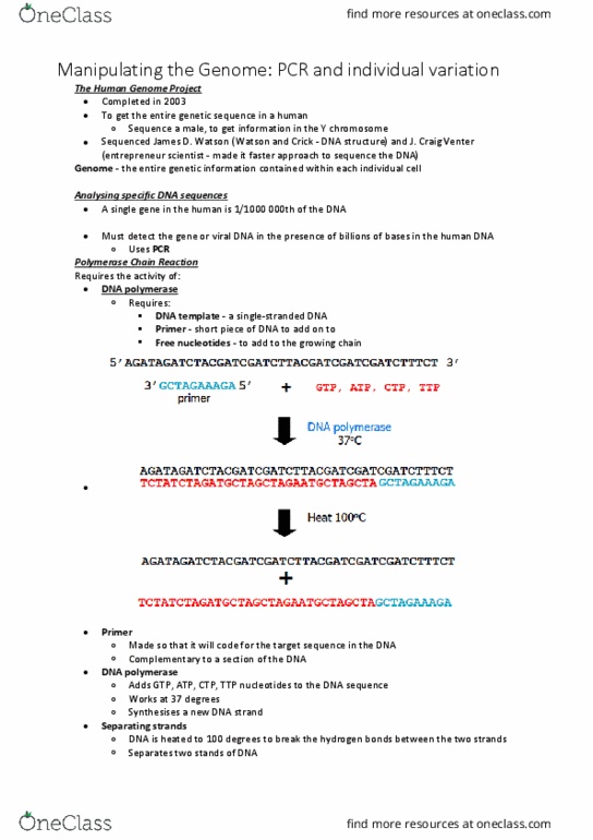 BABS1201 Lecture Notes - Lecture 13: Fluorescence, Anna Nicole Smith, Dna Paternity Testing thumbnail