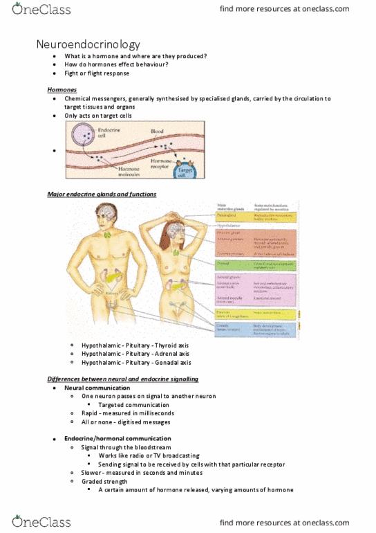PSYC1011 Lecture Notes - Lecture 7: Endocrinology, Sympathetic Nervous System, Adrenocorticotropic Hormone thumbnail