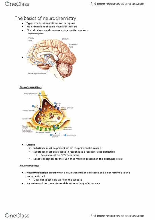 PSYC1011 Lecture Notes - Lecture 5: Slow-Wave Sleep, Basal Forebrain, Substantia Nigra thumbnail