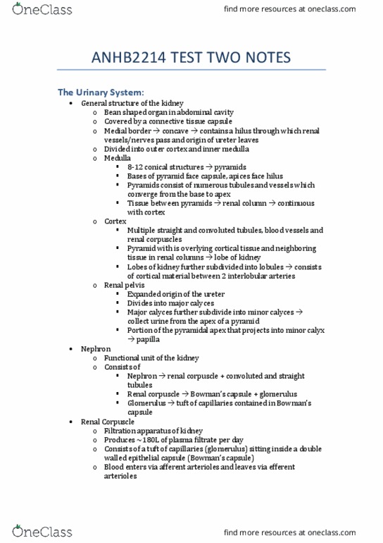 ANHB2214 Lecture Notes - Lecture 1: Gastrin, Osmotic Concentration, Red Pulp thumbnail