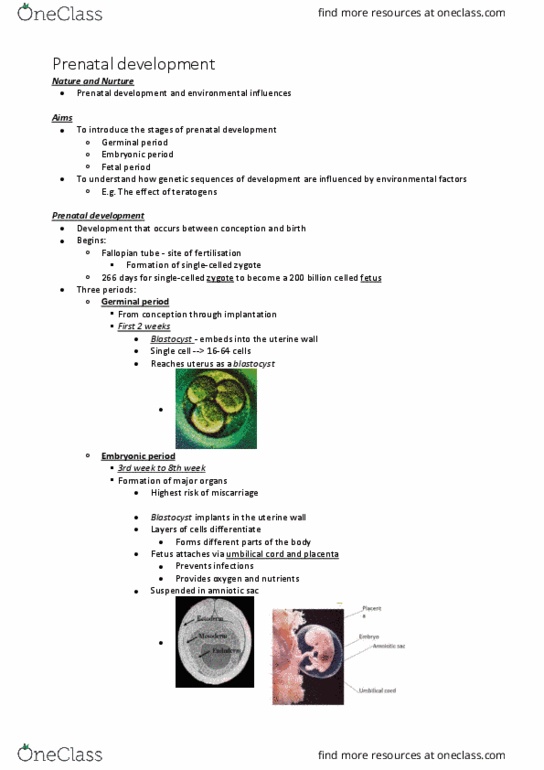 PSYC1001 Lecture Notes - Lecture 6: Fetal Alcohol Spectrum Disorder, Sexual Differentiation, Preterm Birth thumbnail