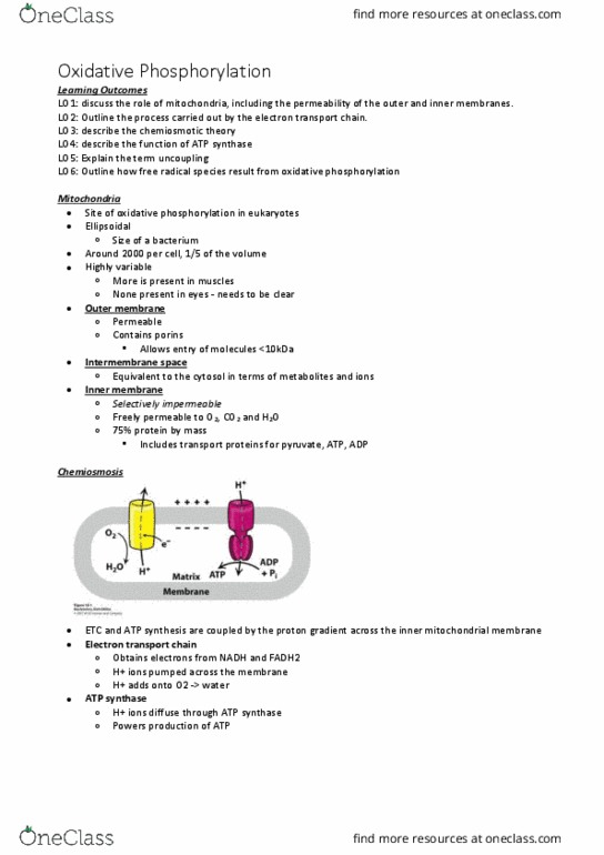 BIOC2101 Lecture Notes - Lecture 12: Cytochrome, Cytochrome C Oxidase, Electrochemical Potential thumbnail