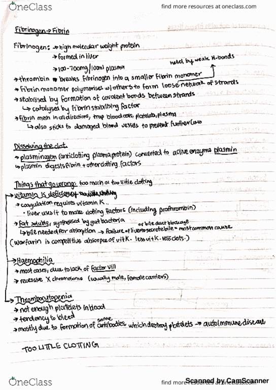 PHSL2121 Lecture 11: Lecture Summary - Fibrinogen & Clotting Issues thumbnail