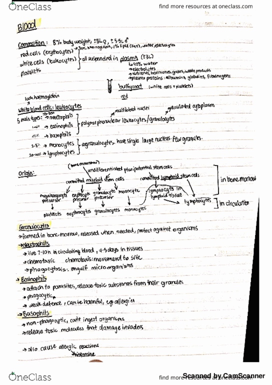 PHSL2121 Lecture 9: Lecture Summary - Blood Intro thumbnail