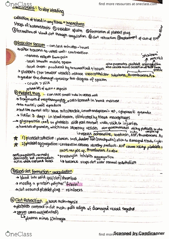 PHSL2121 Lecture 10: Lecture Summary - Haemostasis thumbnail