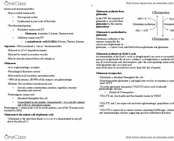 STAT 1100 Lecture Notes - Lecture 3: Reuptake, Retina, Cell Signaling thumbnail