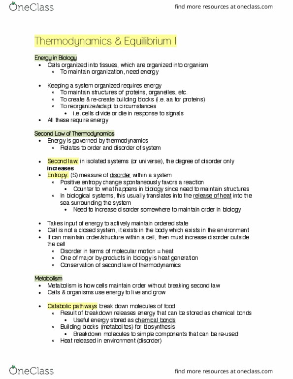 BIOC 212 Lecture Notes - Lecture 36: Covalent Bond, Enzyme Catalysis, Hydrolysis thumbnail