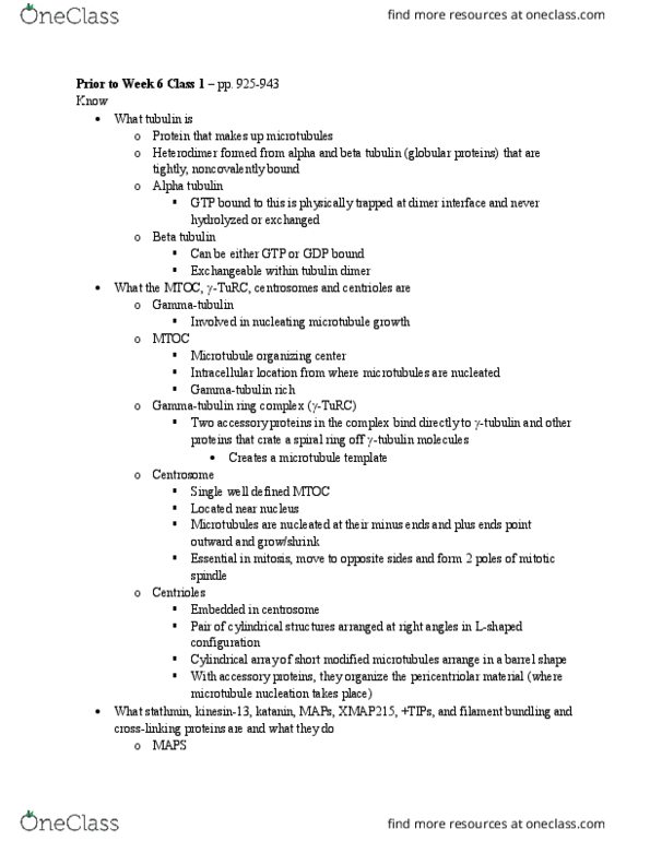 BIO 211 Lecture Notes - Lecture 6: Chromatin, Cytoskeleton, Fibroblast thumbnail