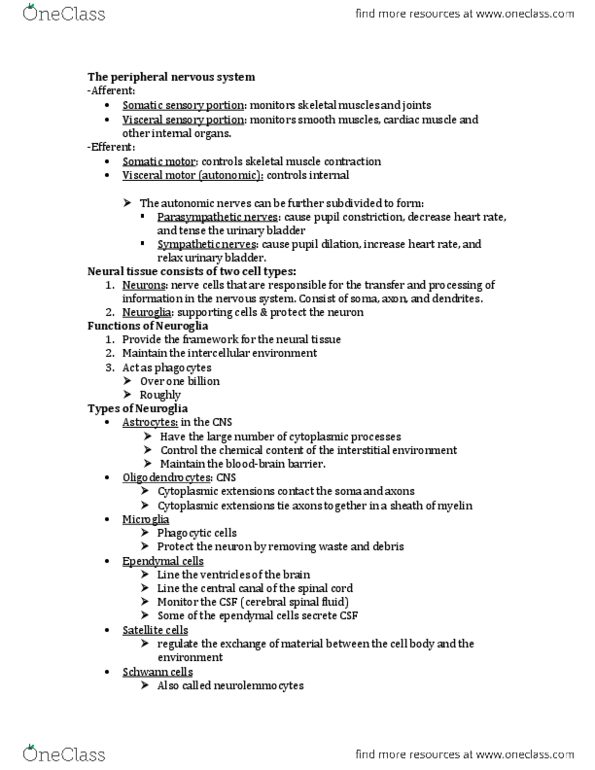 BIO 121 Lecture Notes - Cerebrospinal Fluid, Axon Hillock, Ependyma thumbnail