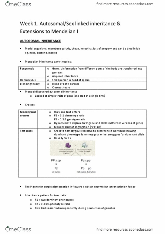 BMS2042 Lecture Notes - Lecture 1: Anemia, Thalassemia, Transferase thumbnail