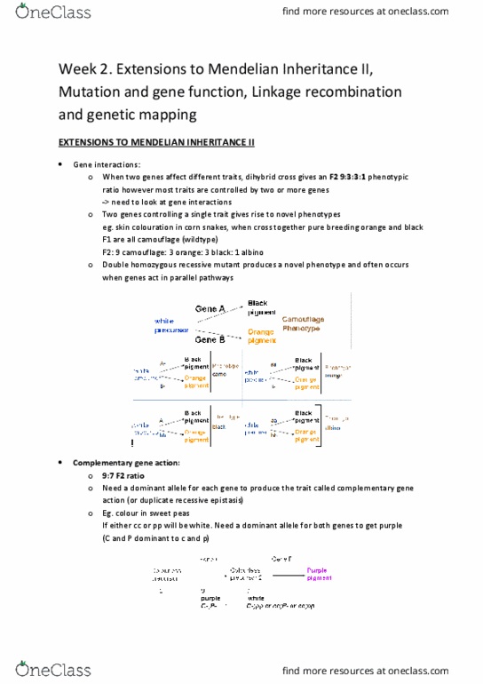 BMS2042 Lecture Notes - Lecture 3: Haemophilia A, Rna Splicing, Zygosity thumbnail