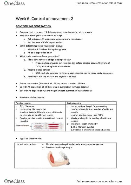 BMS1052 Lecture Notes - Lecture 16: Myocyte, Skeletal Muscle, Myoglobin thumbnail