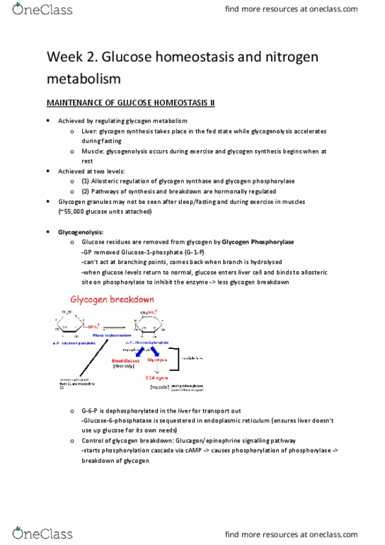 BMS2021 Lecture Notes - Lecture 4: Allopurinol, Malic Acid, Methotrexate thumbnail