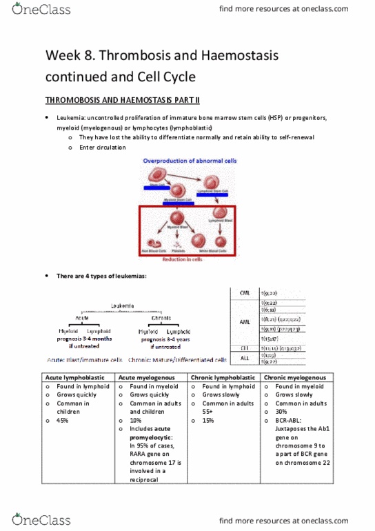 BMS2021 Lecture Notes - Lecture 22: Sister Chromatids, Glycoprotein, Serine Protease thumbnail