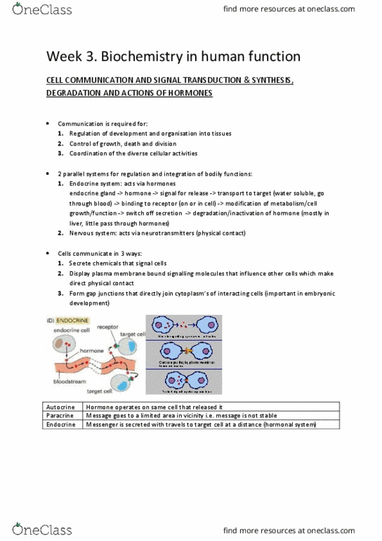 BMS2021 Lecture Notes - Lecture 6: Surface 2, Exocytosis, Thyroglobulin thumbnail