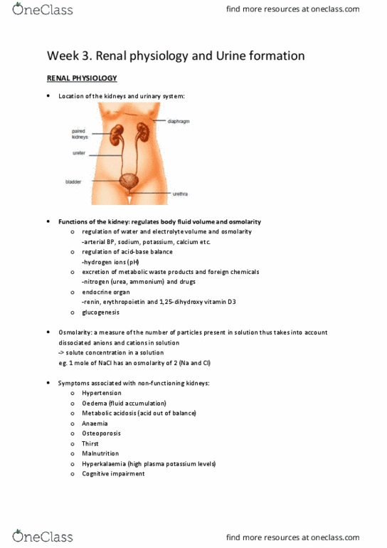 BMS2031 Lecture 8: Week 3. Renal physiology and Urine formation thumbnail