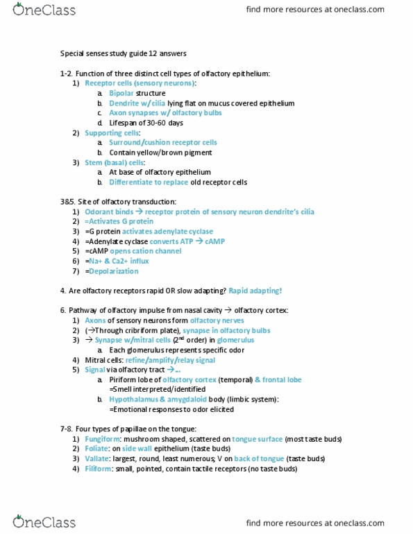 NURS 163 Chapter Notes - Chapter 12: Sound, Internal Capsule, Spiral Ganglion thumbnail