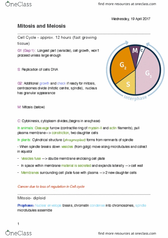 BIOL10002 Lecture Notes - Lecture 2: Telophase, Multicellular Organism, Centromere thumbnail