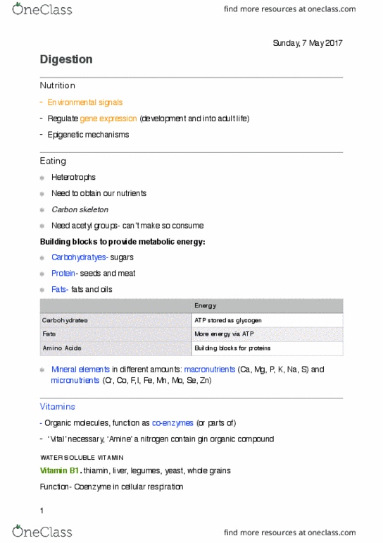 BIOL10002 Lecture Notes - Lecture 29: Epithelium, Adipose Tissue, Autocatalysis thumbnail