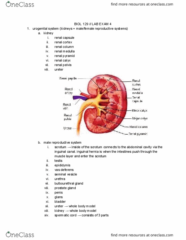 Valid C1000-129 Exam Topics