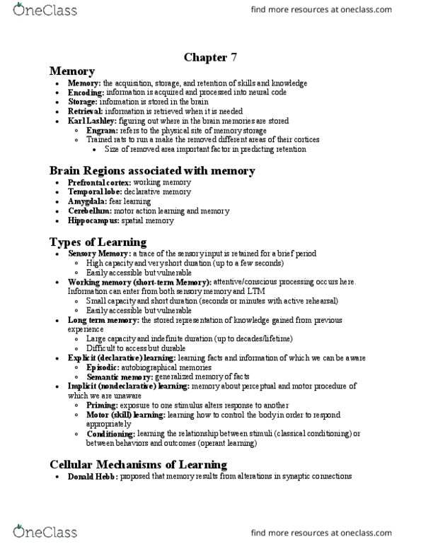 PSY 201 Lecture Notes - Lecture 7: Neuromodulation, Eyewitness Testimony, Lesion thumbnail