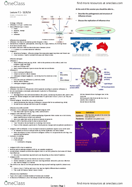BMSC207 Lecture Notes - Lecture 14: Oseltamivir, Influenza A Virus Subtype H3N2, Neuraminidase Inhibitor thumbnail