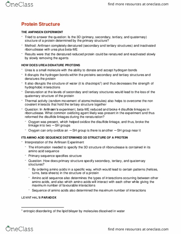 BCEM 393 Lecture Notes - Lecture 7: Prolyl Isomerase, Radiography, Isomerase thumbnail