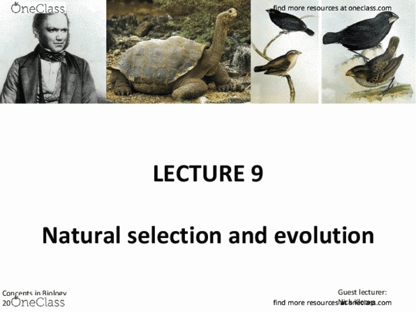 483 Lecture Notes - Lecture 9: Basilosaurus, Bowerbird, Biogeography thumbnail