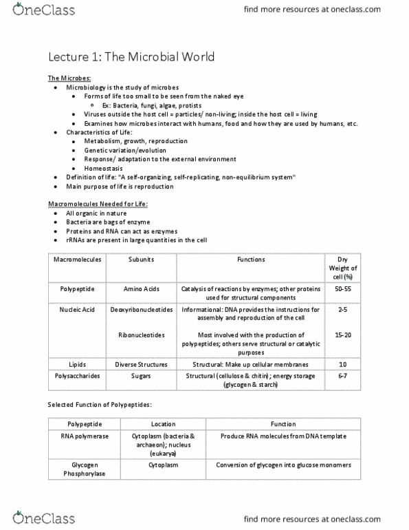 BIO 315 Lecture Notes - Lecture 1: Ftsz, Active Transport, Cell Membrane thumbnail