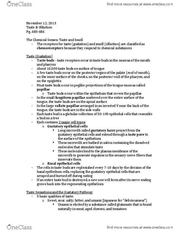 Anatomy and Cell Biology 3319 Chapter Notes -Lingual Papilla, Olfactory Epithelium, Olfactory Receptor Neuron thumbnail