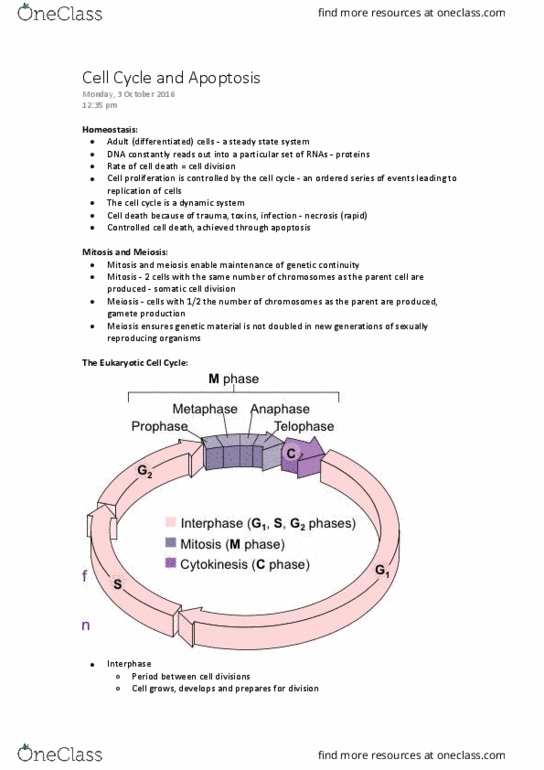 SCIE1106 Lecture Notes - Lecture 25: Endonuclease, Centromere, Microtubule thumbnail