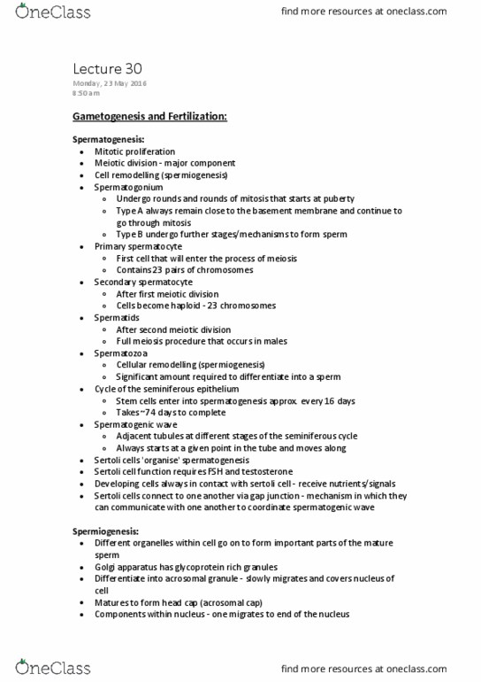 ANHB1101 Lecture Notes - Lecture 30: Zygote, Cumulus Oophorus, Motility thumbnail