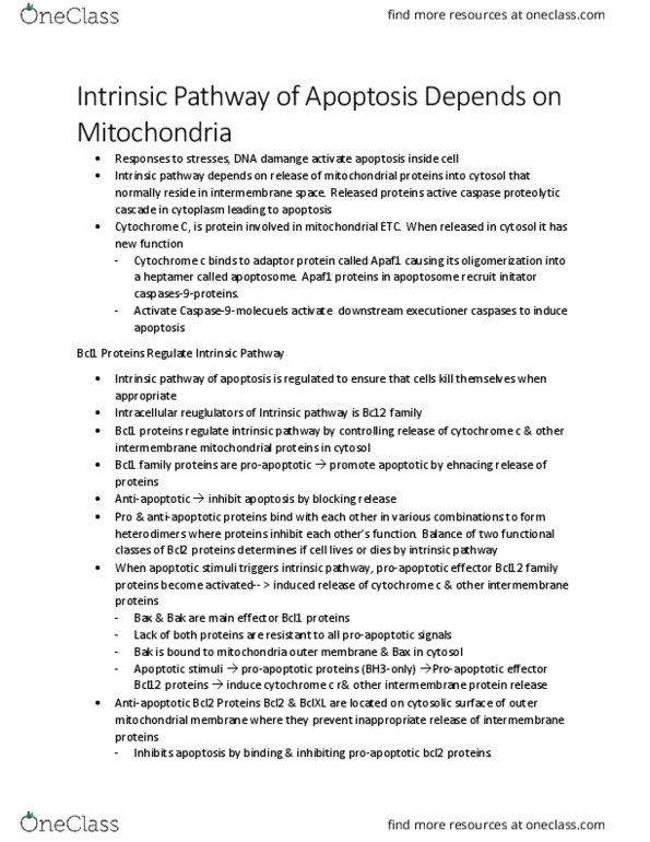 KINE 1000 Lecture 2: Intrinsic Pathway of Apoptosis Depends on Mitochondria thumbnail
