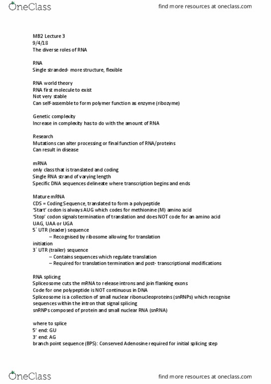 91335 Lecture 3: Lecture 3- Diverse Roles Of RNA thumbnail