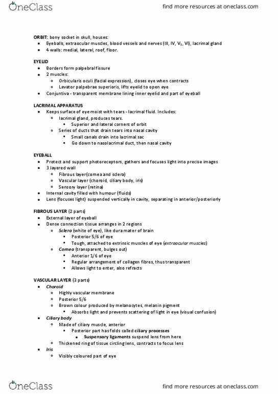 ANAT2511 Lecture Notes - Lecture 15: Posterior Chamber Of Eyeball, Fovea Centralis, Color Vision thumbnail