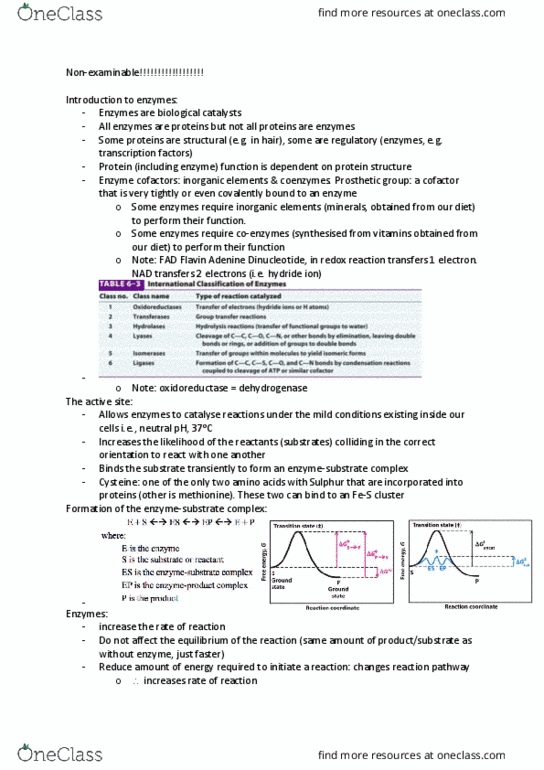 BIOL2771 Lecture Notes - Lecture 2: Redox, Oxidoreductase, Cysteine thumbnail