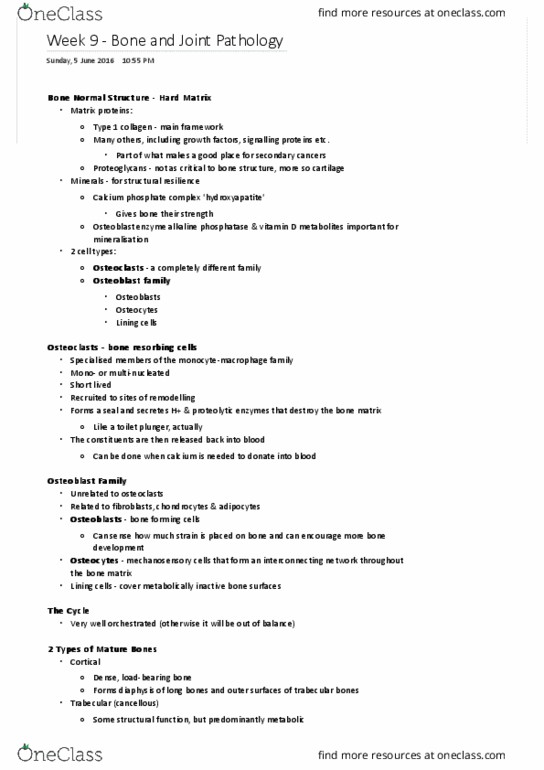 CSB520 Lecture Notes - Lecture 9: Osteophyte, Sarcoma, Synovial Joint thumbnail