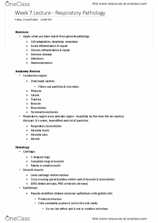 CSB520 Lecture Notes - Lecture 8: Thoracic Wall, Atelectasis, Elastic Fiber thumbnail