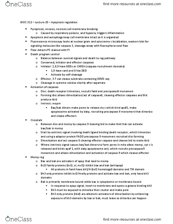 BIOC 312 Lecture Notes - Lecture 25: Ubiquitin, Drug Resistance, P53 thumbnail