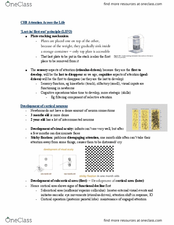 PSYC 330 Chapter Notes - Chapter 8: Gluten, Cortisol, Sedentary Lifestyle thumbnail