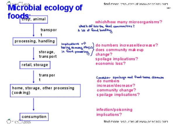 BIOL345 Lecture Notes - Microbial Ecology, Listeria Monocytogenes, Food Microbiology thumbnail