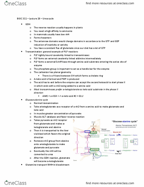 BIOC 311 Lecture Notes - Lecture 28: Malate Dehydrogenase, Membrane Transport Protein, Malic Acid thumbnail