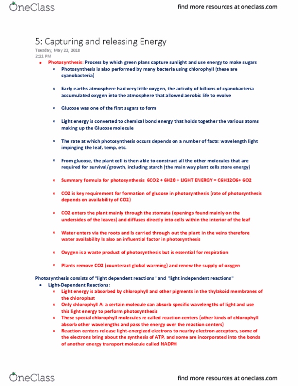 Biology 1225 Chapter Notes - Chapter 5: Pyruvic Acid, Glycolysis, Phosphorylation thumbnail