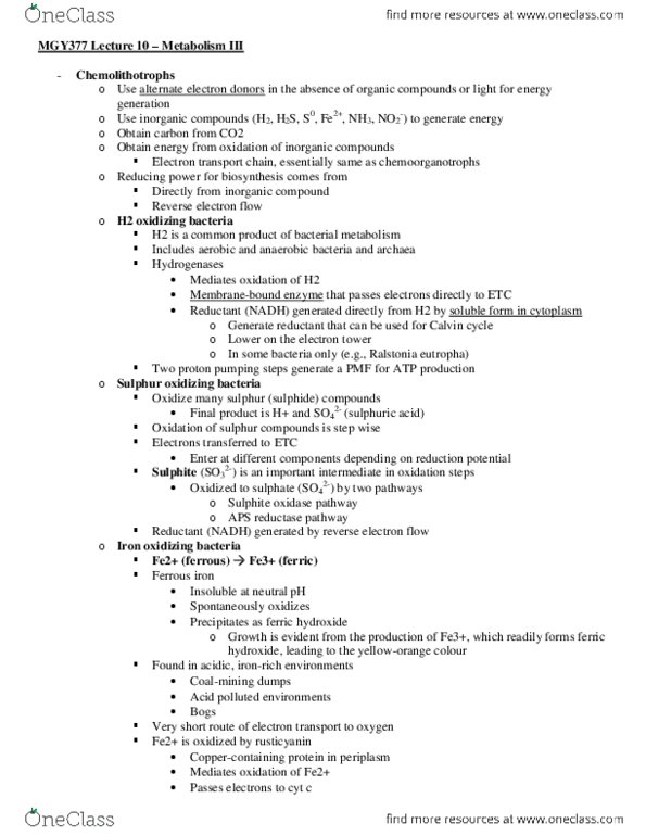 MGY377H1 Lecture Notes - Lecture 10: Cupriavidus Necator, Electron Acceptor, Nitrifying Bacteria thumbnail