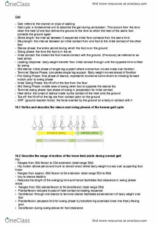 PHTY100 Lecture Notes - Lecture 10: Trendelenburg Gait, Human Musculoskeletal System, Ground Reaction Force thumbnail