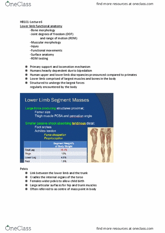 HPE110 Lecture Notes - Lecture 6: Osteoarthritis, Anatomical Terms Of Location, Sprain thumbnail